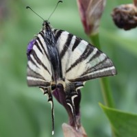 Fotoalbum Ardèche