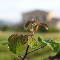 Fotoalbum Ardèche