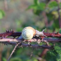 Fotoalbum Ardèche