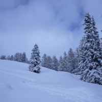 Fotoalbum Berge