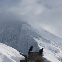 Fotoalbum Berge