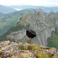 Fotoalbum Berge