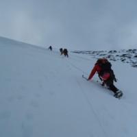 Fotoalbum Blüemlisalp-Nordwand