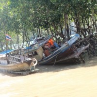 Fotoalbum Climbing Railay - Thailand