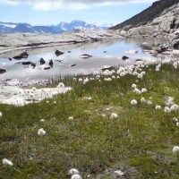 Fotoalbum Eggishorn/Aletsch