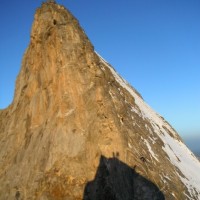 Fotoalbum Eiger-Mittellegigrat