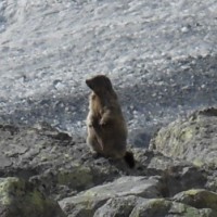 Fotoalbum Engadin-Trekking