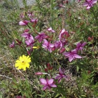 Fotoalbum Engadin-Trekking