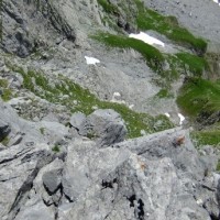 Fotoalbum Engelberg Zittergrat - Rigitalstock