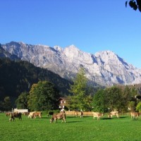 Fotoalbum Engelberg