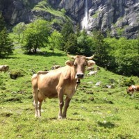 Fotoalbum Engelberg