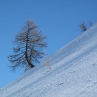 Fotoalbum Es isch emal...