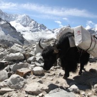 Fotoalbum Everest Trekking