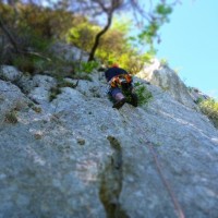 Fotoalbum Finale Climbing