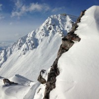 Fotoalbum Freeride / Skitouren