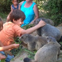 Fotoalbum Freissinières