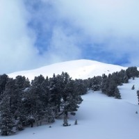 Fotoalbum Fürstein