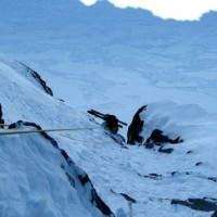 Fotoalbum Gemsfairen - Tüfelsjoch