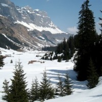 Fotoalbum Gemsfairen - Tüfelsjoch