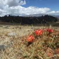 Fotoalbum Hatun Machay (Peru, Huaraz)