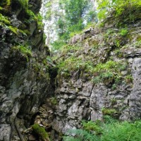 Fotoalbum Hexensteig am Paffen