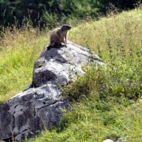 Fotoalbum Klettern Engadin