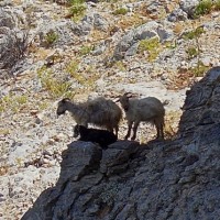 Fotoalbum Klettern Kalymnos 2013