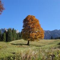 Fotoalbum Meine Leidenschaft