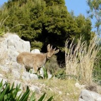 Fotoalbum Naturschönheiten