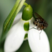 Fotoalbum Naturschönheiten