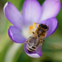 Fotoalbum Naturschönheiten