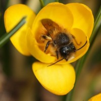 Fotoalbum Naturschönheiten