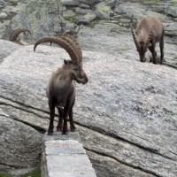 Fotoalbum Naturschönheiten