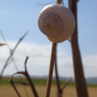 Fotoalbum Naturverbunden