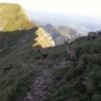 Fotoalbum Pilatus-Trekking