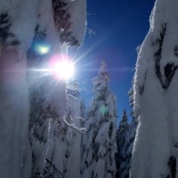 Fotoalbum ST Beichlen, Entlebuch