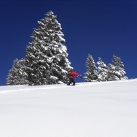 Fotoalbum ST Beichlen, Entlebuch