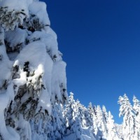 Fotoalbum ST Beichlen, Entlebuch