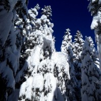 Fotoalbum ST Beichlen, Entlebuch