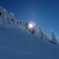 Fotoalbum ST Beichlen, Entlebuch