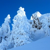 Fotoalbum ST Beichlen, Entlebuch