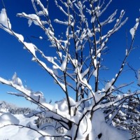 Fotoalbum ST Beichlen, Entlebuch