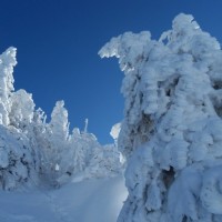 Fotoalbum ST Beichlen, Entlebuch