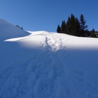 Fotoalbum Schneeschuhtour Alpstein