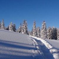 Fotoalbum Schneeschuhtour im ob. Toggenburg