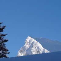 Fotoalbum Schneeschuhtour im ob. Toggenburg