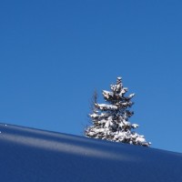 Fotoalbum Schneeschuhtour im ob. Toggenburg