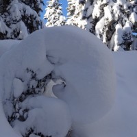 Fotoalbum Schneeschuhtour im ob. Toggenburg