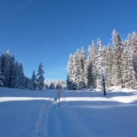 Fotoalbum Schneeschuhwandern