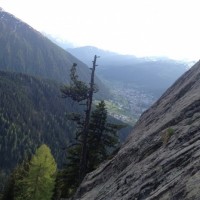 Fotoalbum Seehorn